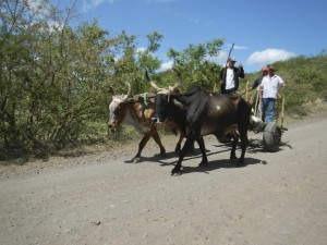Nicaragua Day 4 - 067